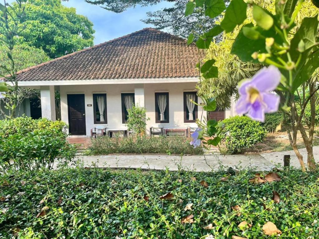 Baan Chuengkao Resort Ranong Buitenkant foto